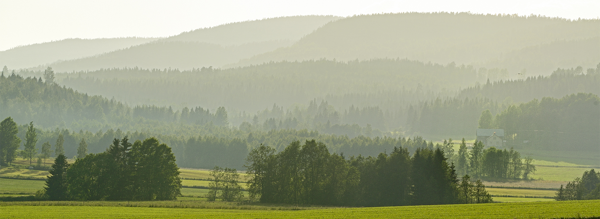 Brattåsstiftelsens inriktning, Brattåsstiftelsen, skogsvetenskaplig forskning, skogsförvaltning