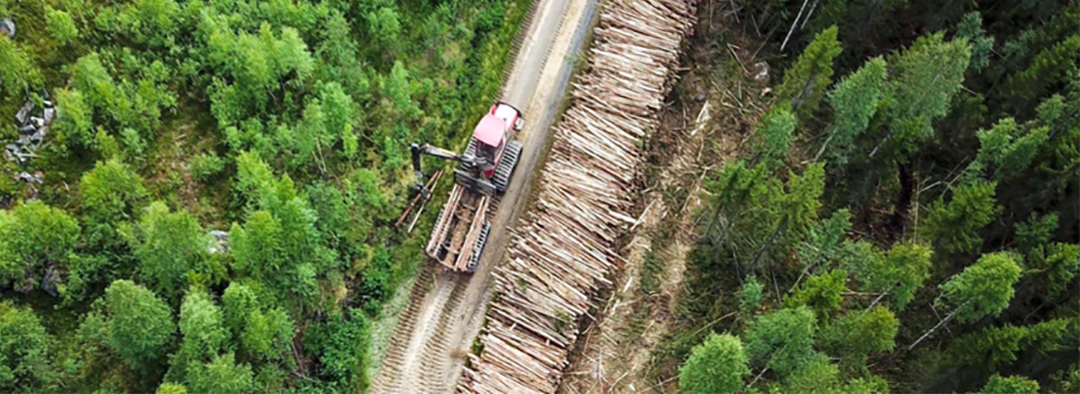 Brattåsstiftelsen, skogsvetenskaplig forskning, skogsförvaltning