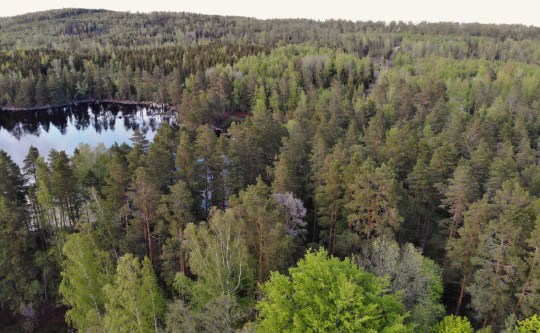 Örnkoll seminarie