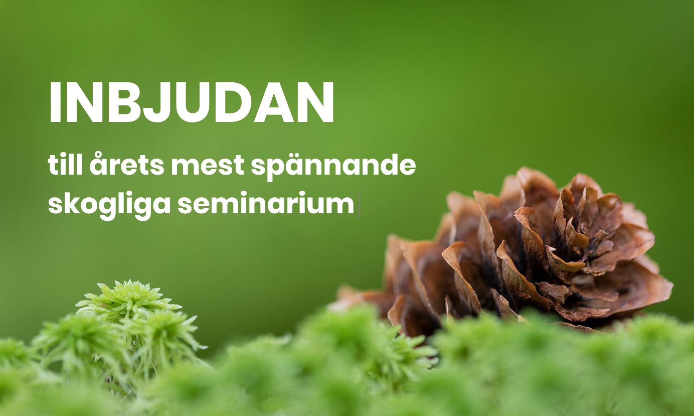 Inbjudan till årets mest spännande skogliga seminarium - bild- Brattåsstiftelsen